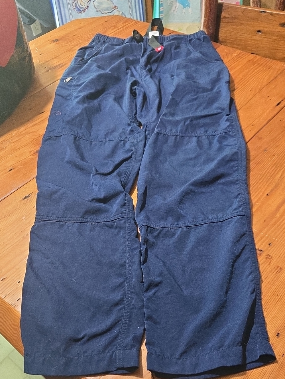 The North Face Navy Sz L Pants